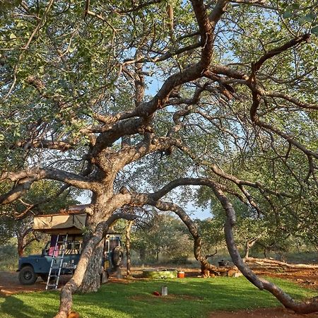 Zuricamp - Campsite Halishi Tsumeb Eksteriør bilde
