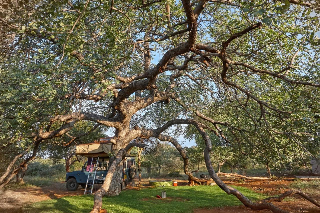 Zuricamp - Campsite Halishi Tsumeb Eksteriør bilde
