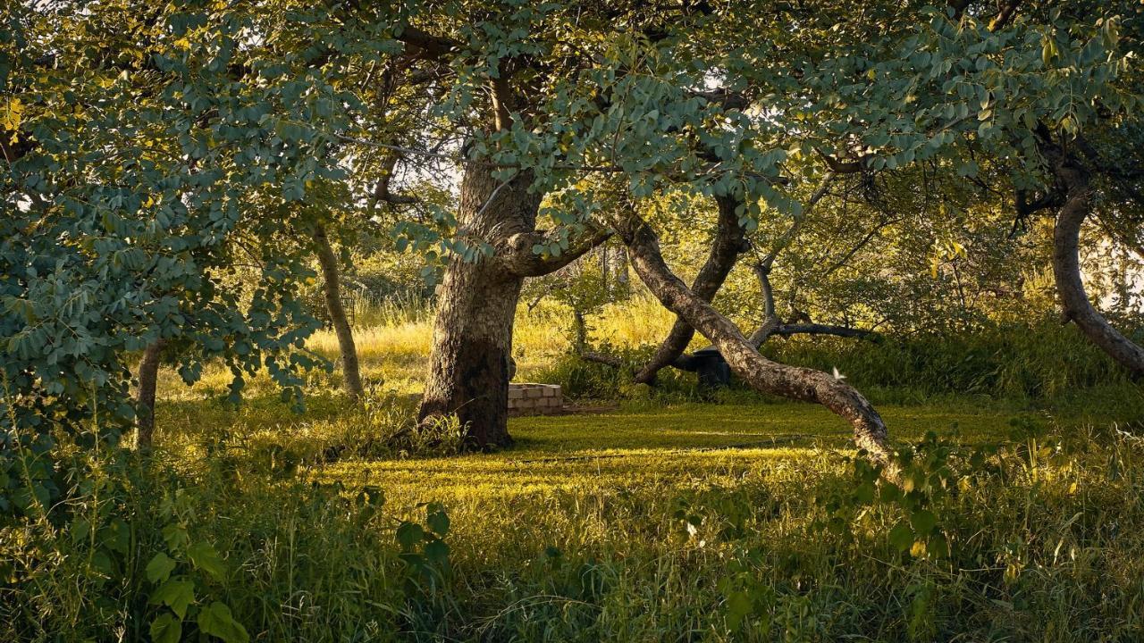 Zuricamp - Campsite Halishi Tsumeb Eksteriør bilde
